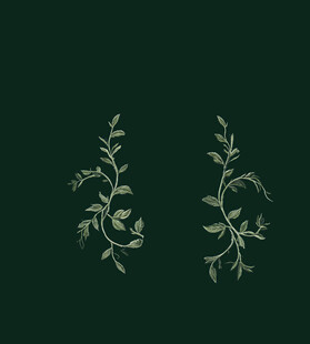 刺绣 定位花