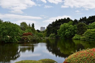 湖畔园林美景