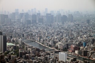 雾中都市景观