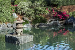 日式庭院中的石灯笼水景