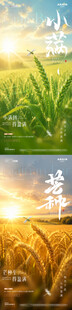 地产小满芒种麦穗风景海报
