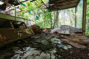 废弃林间小屋的破败景象