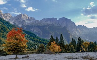 秋日山林壮美风光