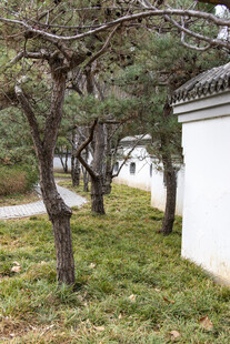 庭院边的树木与草地