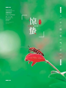 惊蛰海报 