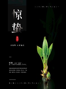 惊蛰海报 