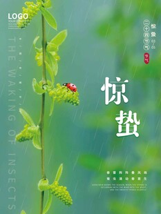 惊蛰海报 