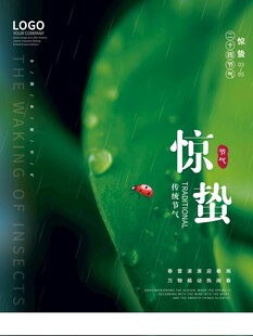 惊蛰海报 