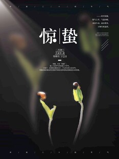 惊蛰海报