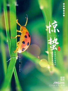惊蛰海报