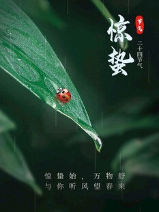 惊蛰海报 