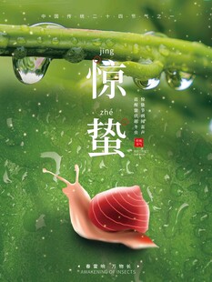 惊蛰海报 