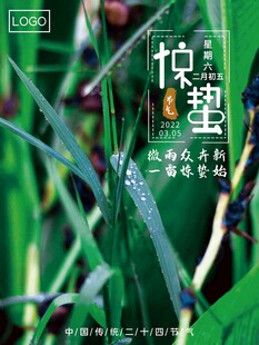 惊蛰海报 