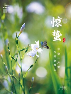 惊蛰海报 