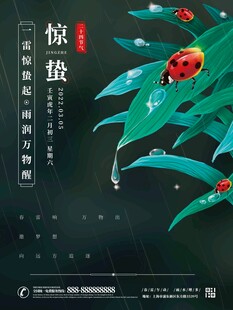 惊蛰海报 