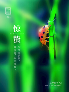 惊蛰海报 