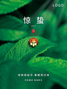 惊蛰海报 