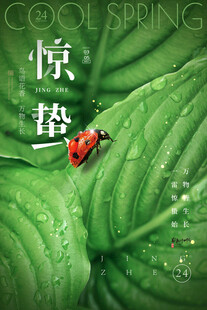 惊蛰海报 