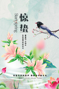 惊蛰海报