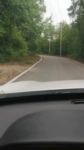车内视角的林间道路