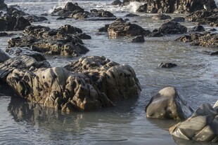 海边嶙峋礁石景观