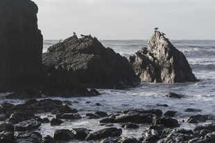 海边嶙峋礁石景观