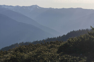 山峦叠翠间的自然美景