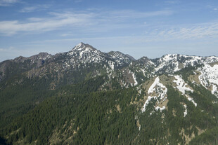 壮丽雪山与葱郁山林景观