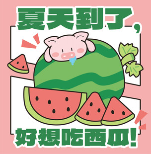 夏日萌猪馋西瓜