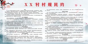 村规民约