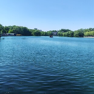 大明湖 宁静湖水与葱郁岸景