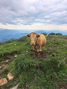 北京灵山徒步美景