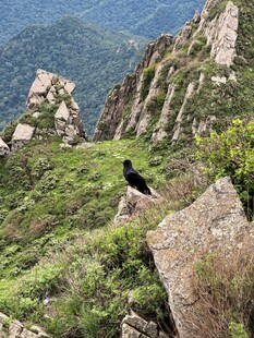北京灵山徒步美景