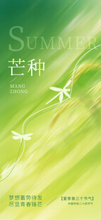 芒种节气海报