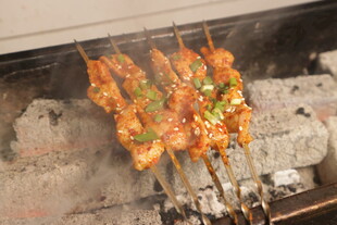 炭火上的美味烤肉串