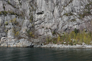 水边嶙峋岩壁与岸边植被