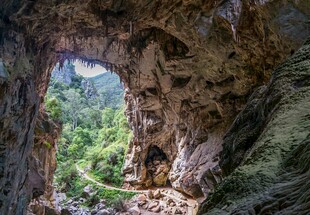 山洞洞口外的翠绿景致