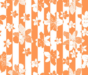 条纹橙白花朵