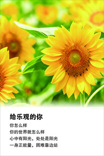 灿烂向日葵  拥抱快乐你