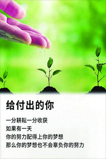 给付出的你