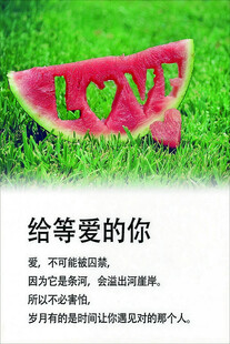 给等爱的你