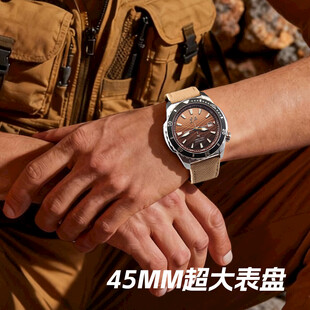 沙漠 腕表 机械 表带 表盘 