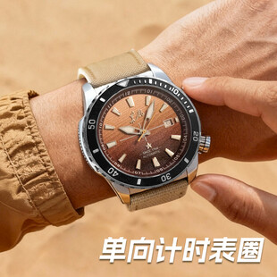 沙漠 腕表 机械 表带 表盘 