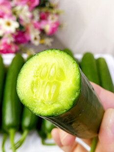 黄瓜