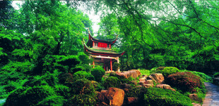山林中的中式亭阁景观