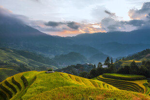 山间梯田美景