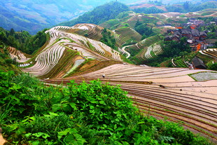壮观梯田美景