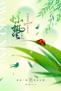 惊蛰海报 