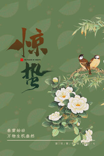 惊蛰海报
