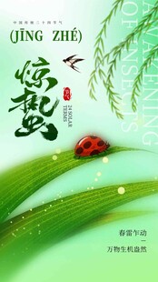 惊蛰海报